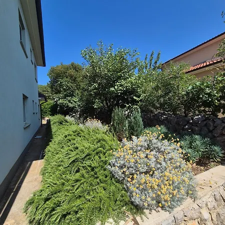 Aleksandar Apartmán