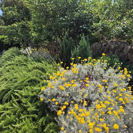 Apartmán Aleksandar Šmrika